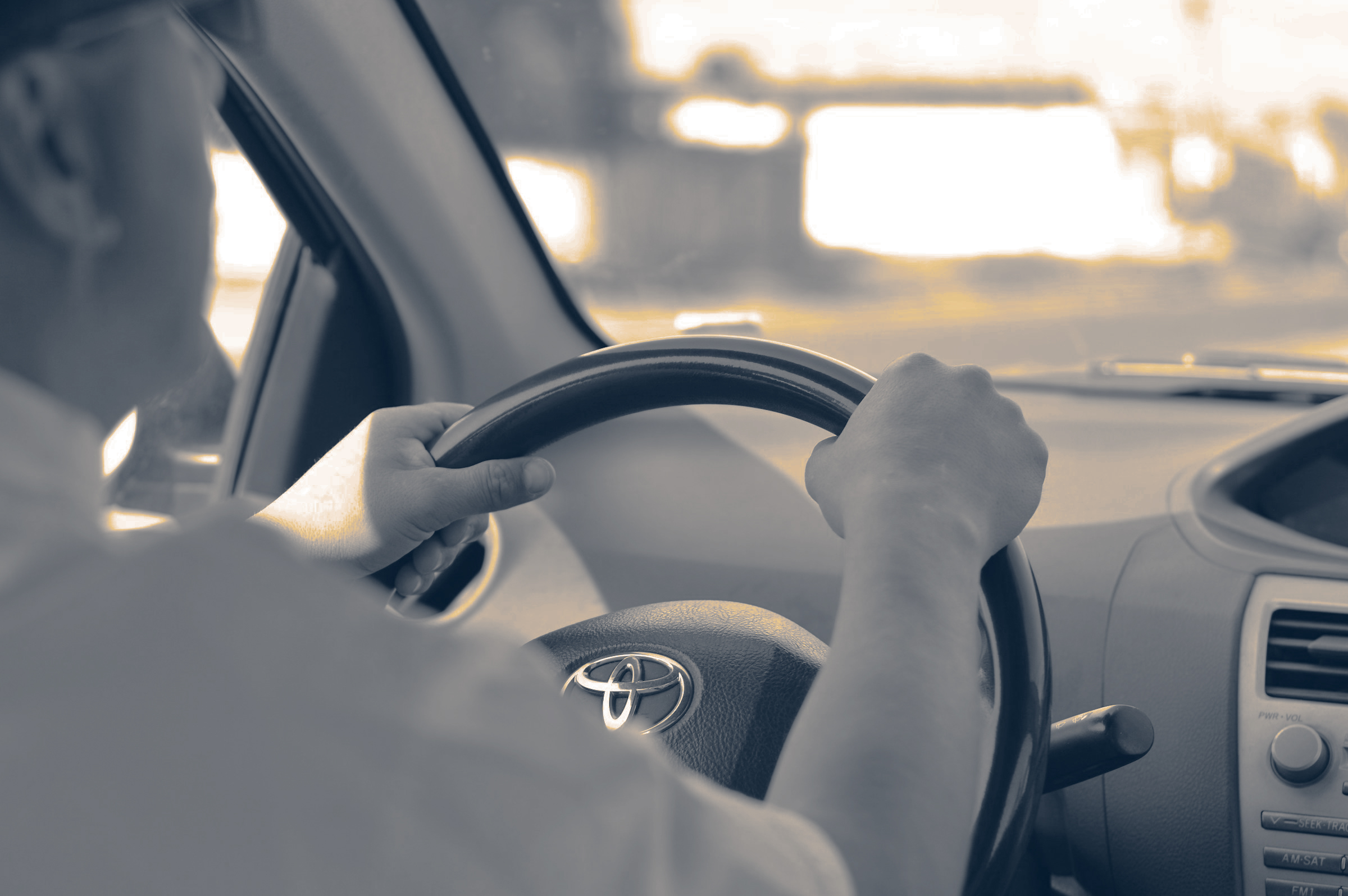 Corral-Correduria-cabecera-carne-conducir